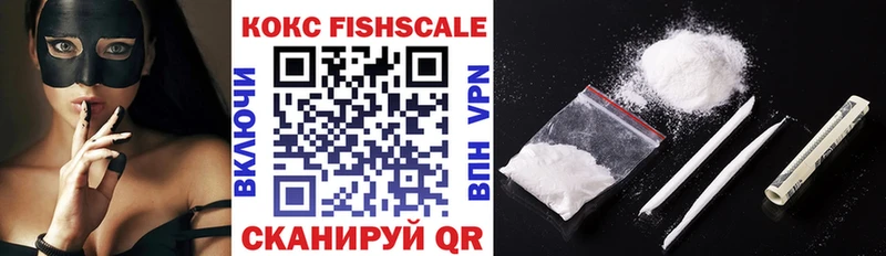 mega вход  купить наркотик  Севск  Cocaine Fish Scale 