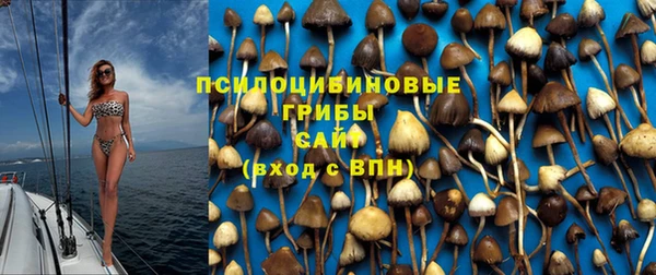 прущие крисы Невьянск