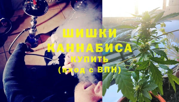 эйфоретик Невель